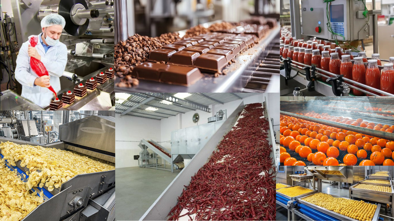 Micro Food Enterprise Upgradation Scheme