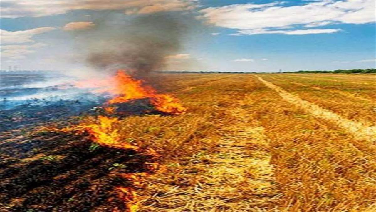 harvesting of crops