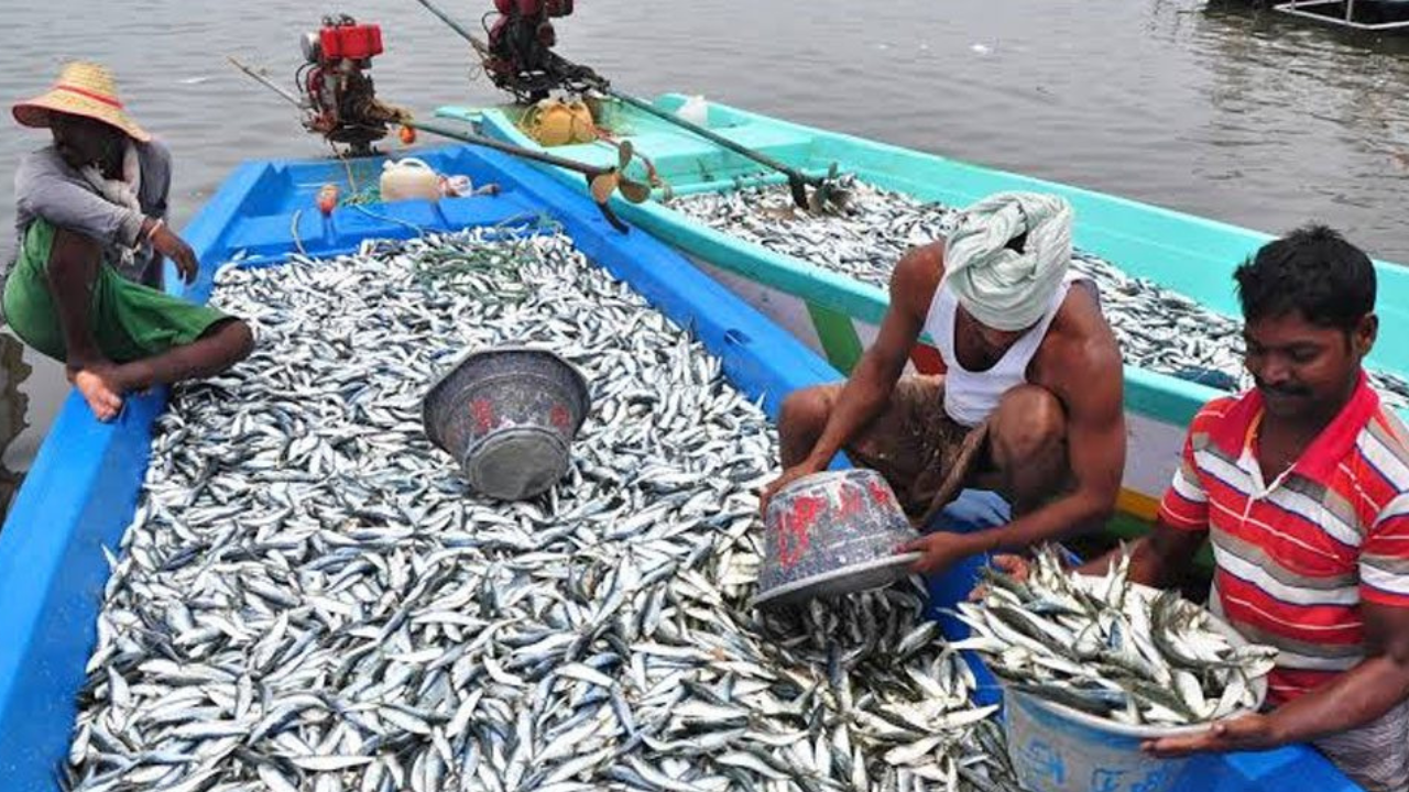 fishermen
