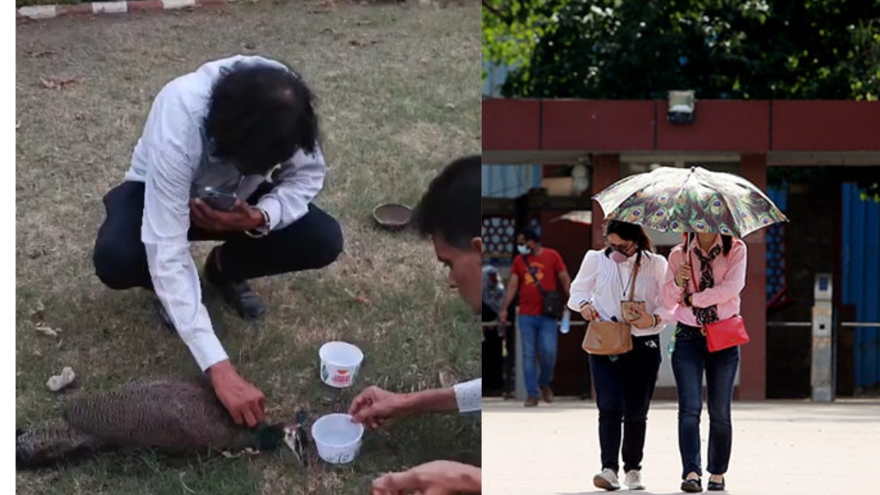 Heat wave in Indore